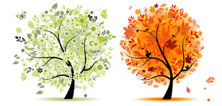 Spring|Fall