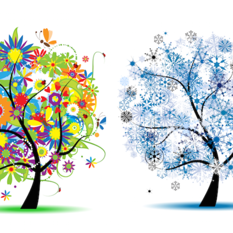 June Solstice